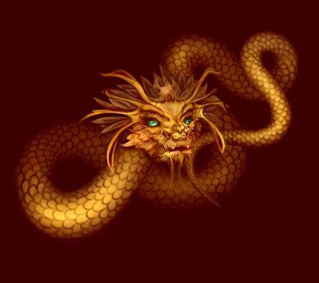DRAGON