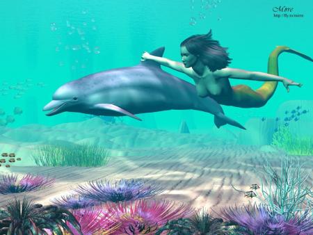 SIRENE AVEC DAUPHIN