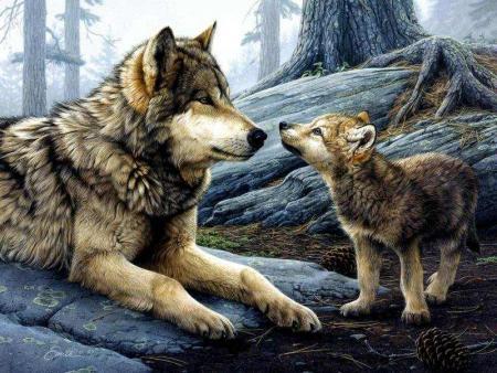 LOUPS 1