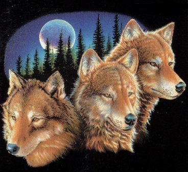 loups