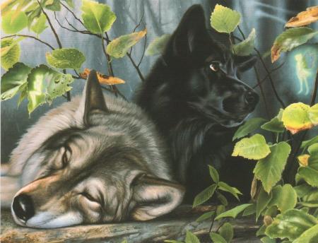 DEUX LOUPS