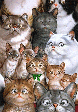 chats