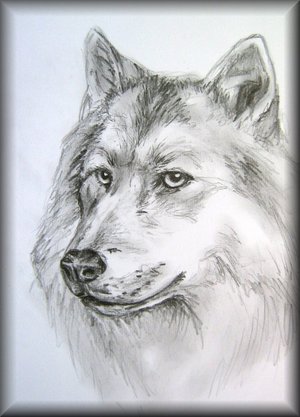 CHIEN