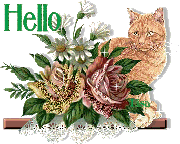CHAT PLUS ROSE
