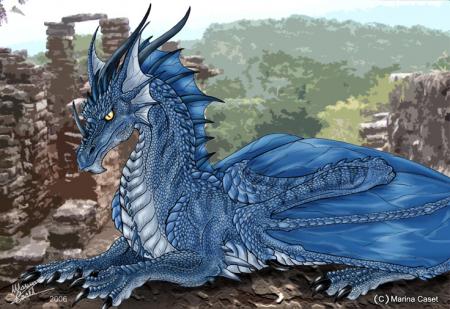 DRAGON