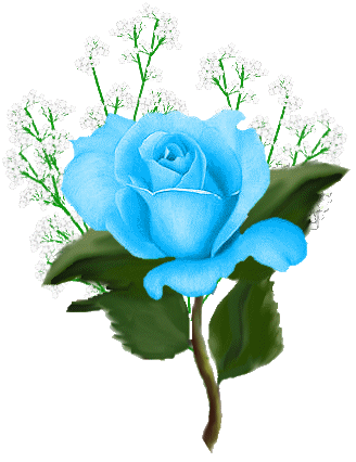 aime rose 