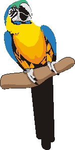 GIF PERROQUET