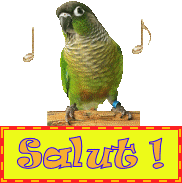 MUSIQUE