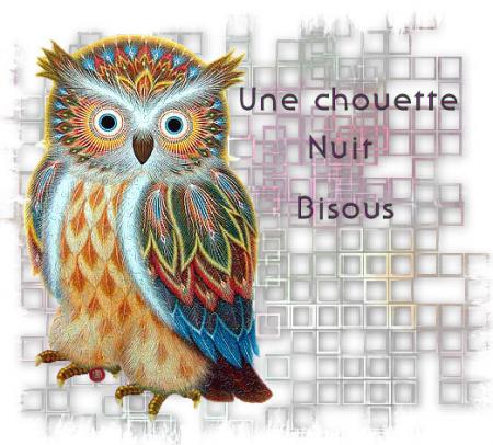 CHOUETTE
