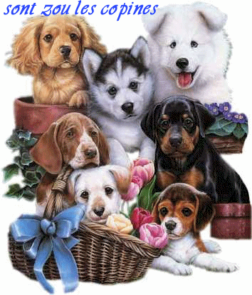 CHIEN